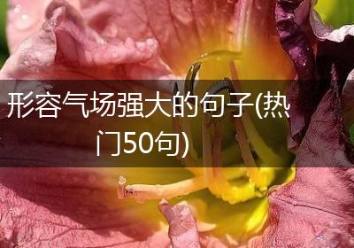 形容气场强大的句子(热门50句)