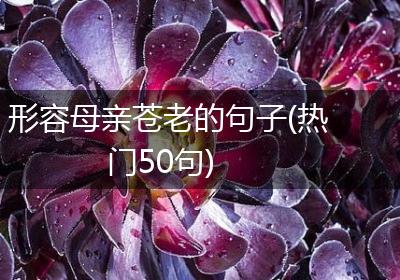 形容母亲苍老的句子(热门50句)