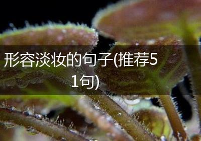 形容淡妆的句子(推荐51句)