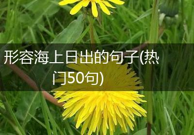 形容海上日出的句子(热门50句)