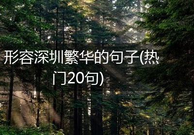 形容深圳繁华的句子(热门20句)