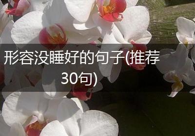 形容没睡好的句子(推荐30句)