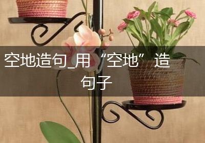 空地造句_用“空地”造句子