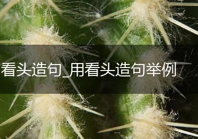 看头造句_用看头造句举例