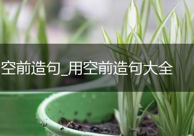 空前造句_用空前造句大全