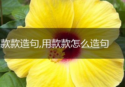 款款造句,用款款怎么造句