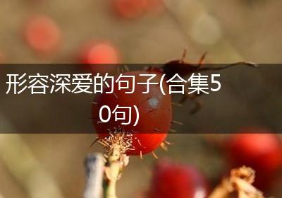 形容深爱的句子(合集50句)