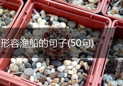 形容渔船的句子(50句)