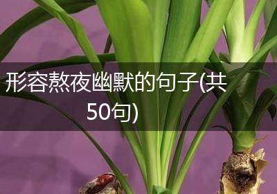 形容熬夜幽默的句子(共50句)