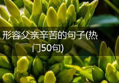形容父亲辛苦的句子(热门50句)