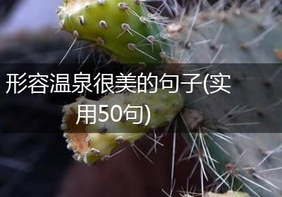 形容温泉很美的句子(实用50句)