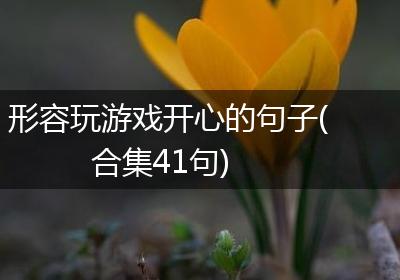 形容玩游戏开心的句子(合集41句)