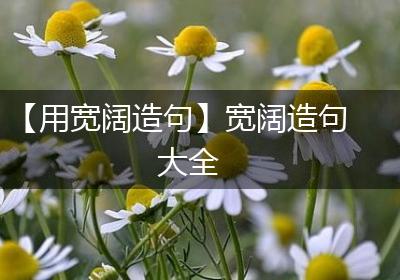 【用宽阔造句】宽阔造句大全