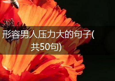 形容男人压力大的句子(共50句)