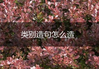 类别造句怎么造