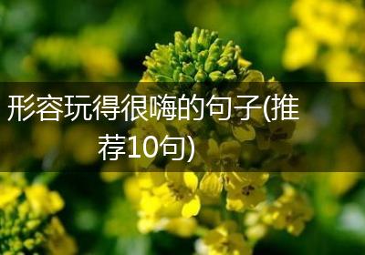 形容玩得很嗨的句子(推荐10句)