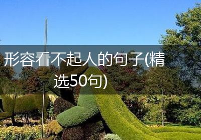形容看不起人的句子(精选50句)