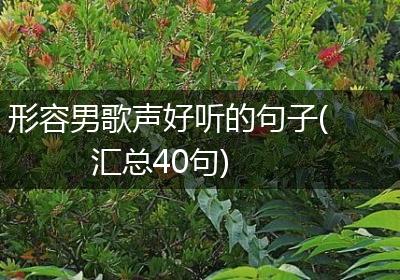 形容男歌声好听的句子(汇总40句)