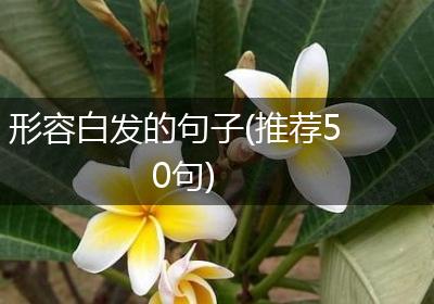 形容白发的句子(推荐50句)
