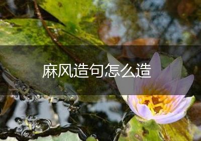 麻风造句怎么造