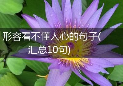 形容看不懂人心的句子(汇总10句)