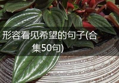 形容看见希望的句子(合集50句)