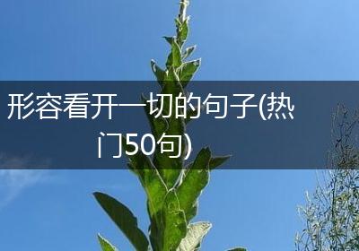形容看开一切的句子(热门50句)