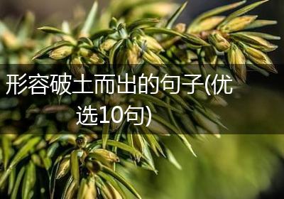 形容破土而出的句子(优选10句)