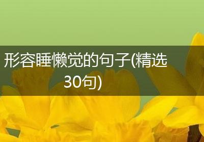 形容睡懒觉的句子(精选30句)