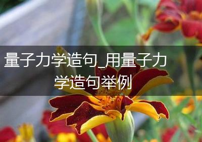 量子力学造句_用量子力学造句举例