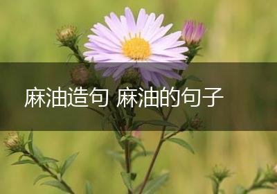 麻油造句 麻油的句子