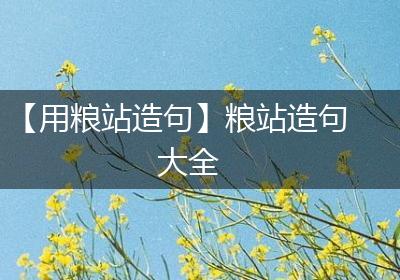 【用粮站造句】粮站造句大全