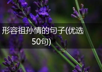形容祖孙情的句子(优选50句)