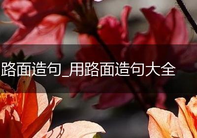 路面造句_用路面造句大全