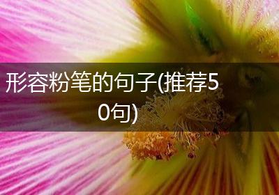 形容粉笔的句子(推荐50句)