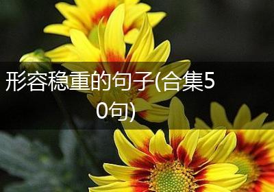 形容稳重的句子(合集50句)