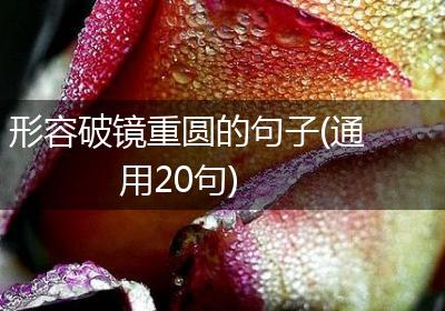 形容破镜重圆的句子(通用20句)