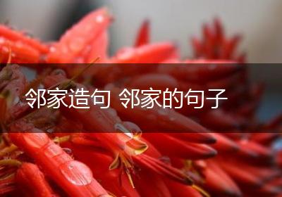 邻家造句 邻家的句子