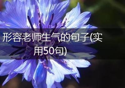 形容老师生气的句子(实用50句)