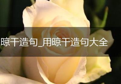 晾干造句_用晾干造句大全