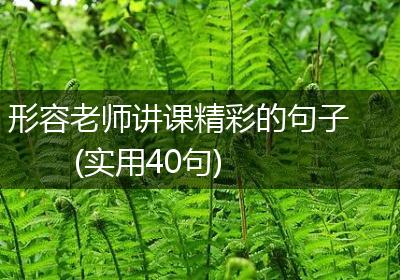 形容老师讲课精彩的句子(实用40句)