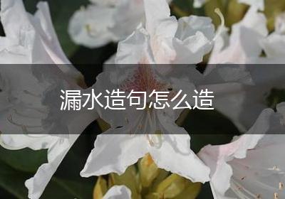 漏水造句怎么造