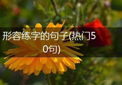 形容练字的句子(热门50句)