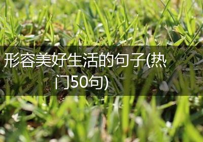 形容美好生活的句子(热门50句)