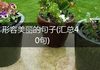 形容美丽的句子(汇总40句)