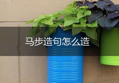 马步造句怎么造