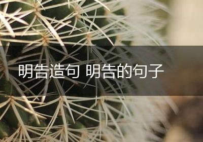 明告造句 明告的句子