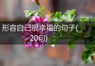 形容自己很幸福的句子(20句)