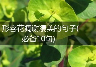 形容花凋谢凄美的句子(必备10句)