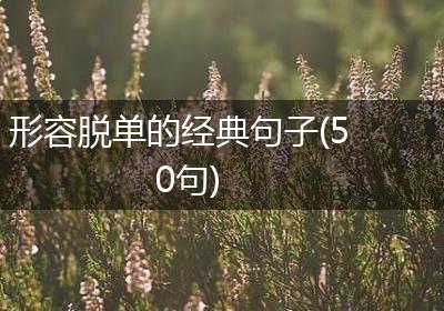 形容脱单的经典句子(50句)